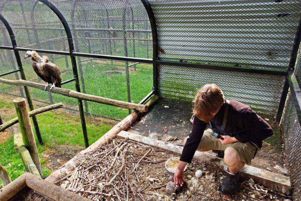 ZOO Planckendael