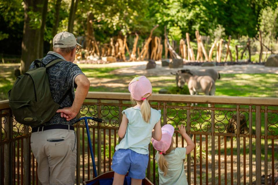 ZOO Planckendael - Jonas Verhulst