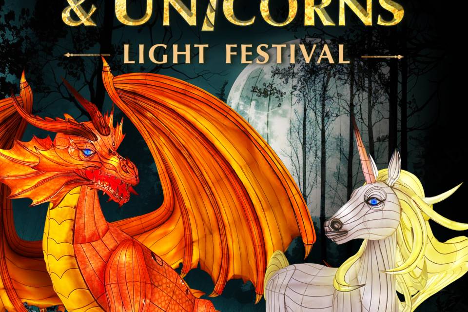 Dragons & Unicorns