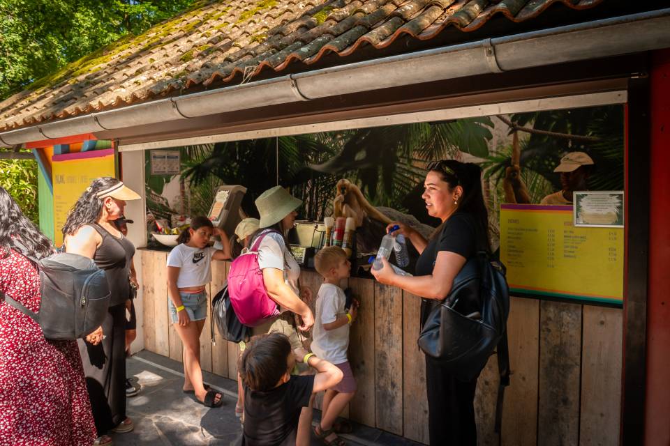 Le Gibbon - ZOO Planckendael