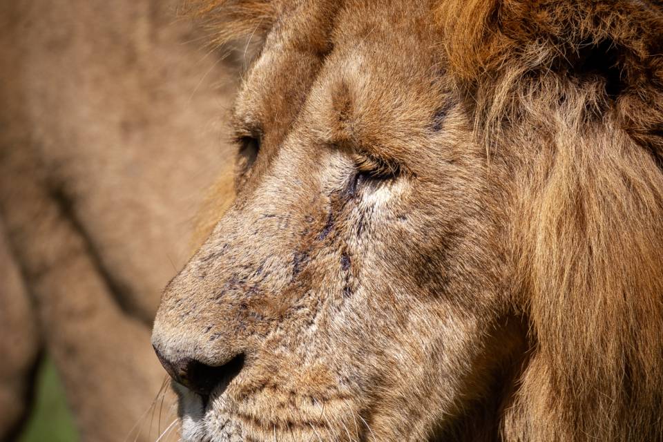 ZOO Planckendael / Jonas Verhulst