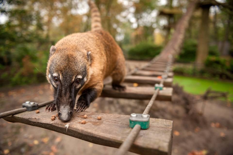 ZOO Planckendael / Jonas Verhulst