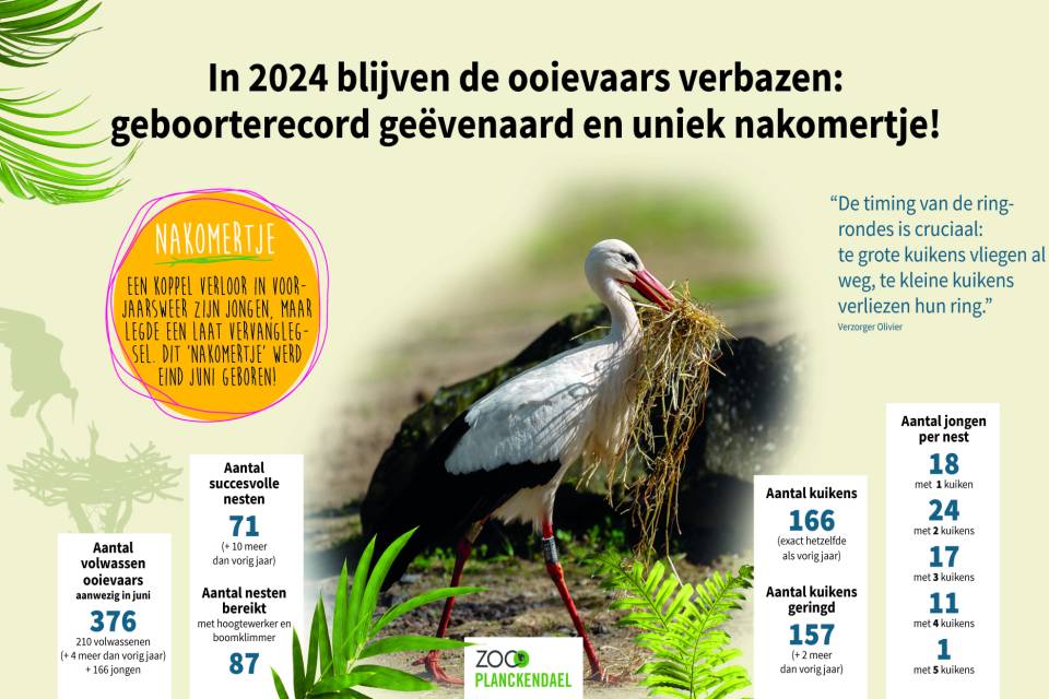 ZOO Planckendael