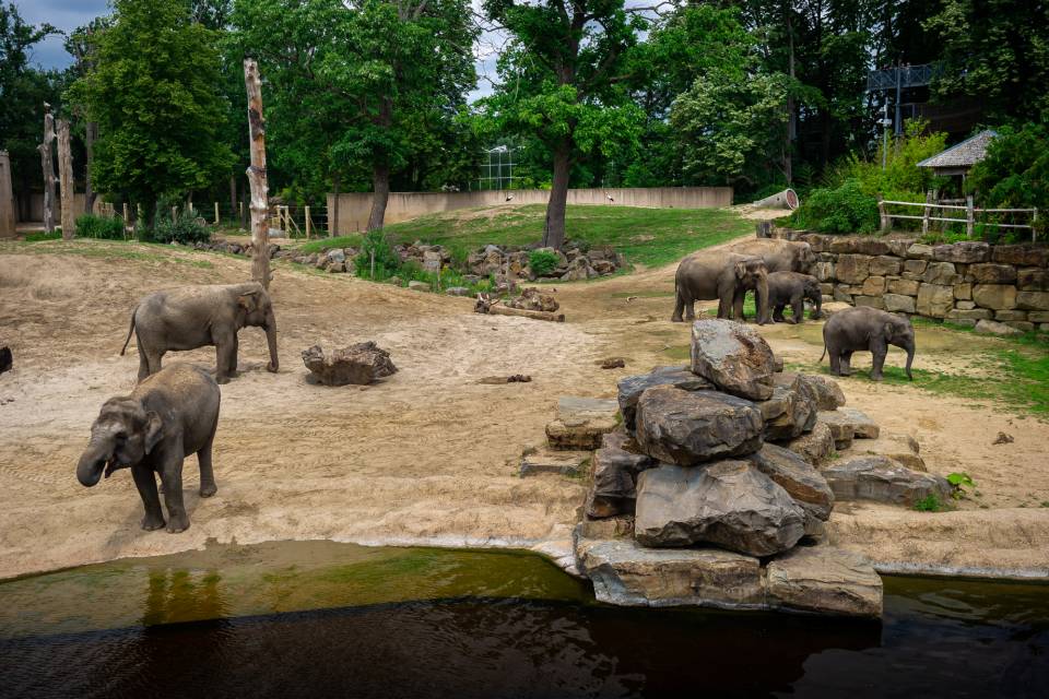 ZOO Planckendael / Jonas Verhulst