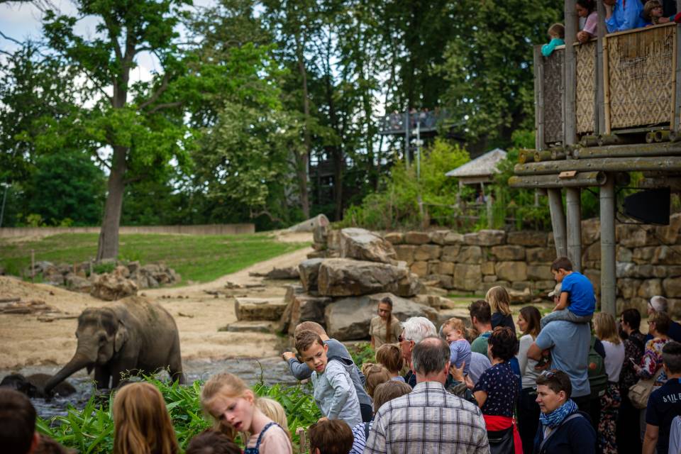 ZOO Planckendael / Jonas Verhulst