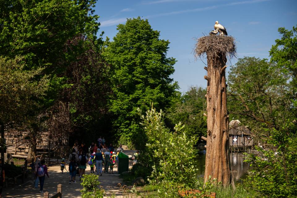 ZOO Planckendael / Jonas Verhulst
