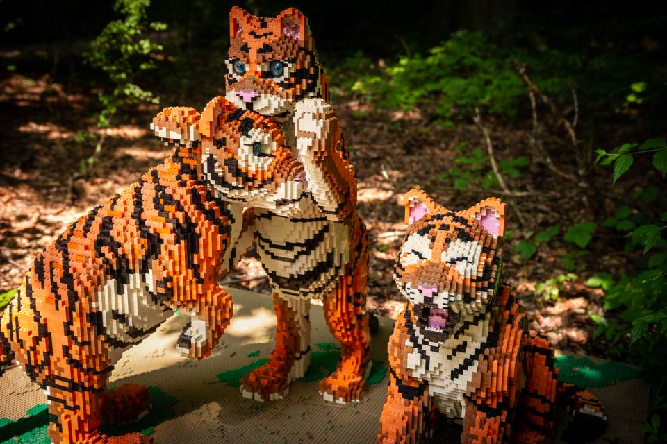 Brick Safari ZOO Planckendael / Jonas Verhulst