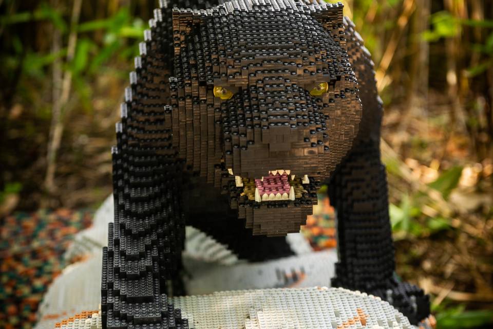 Brick Safari ZOO Planckendael / Jonas Verhulst