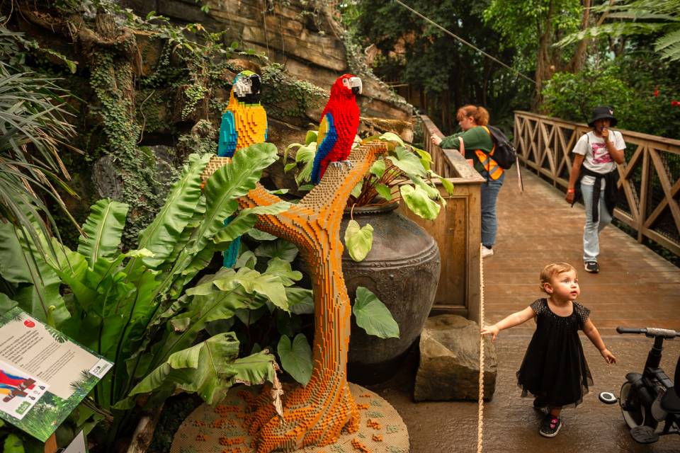 Brick Safari ZOO Planckendael / Jonas Verhulst