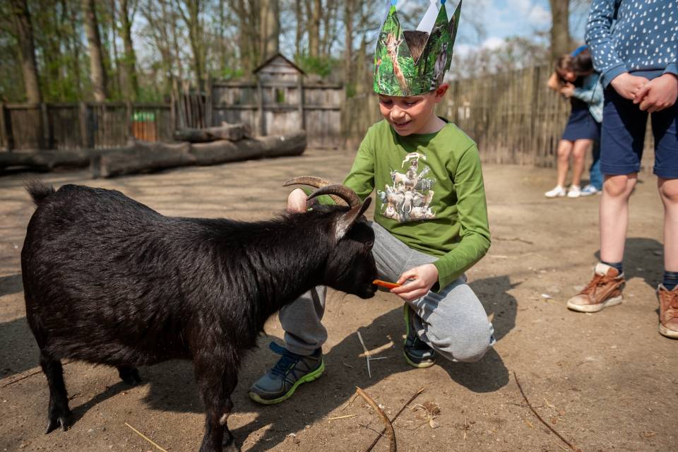 ZOO Planckendael - Jonas Verhulst