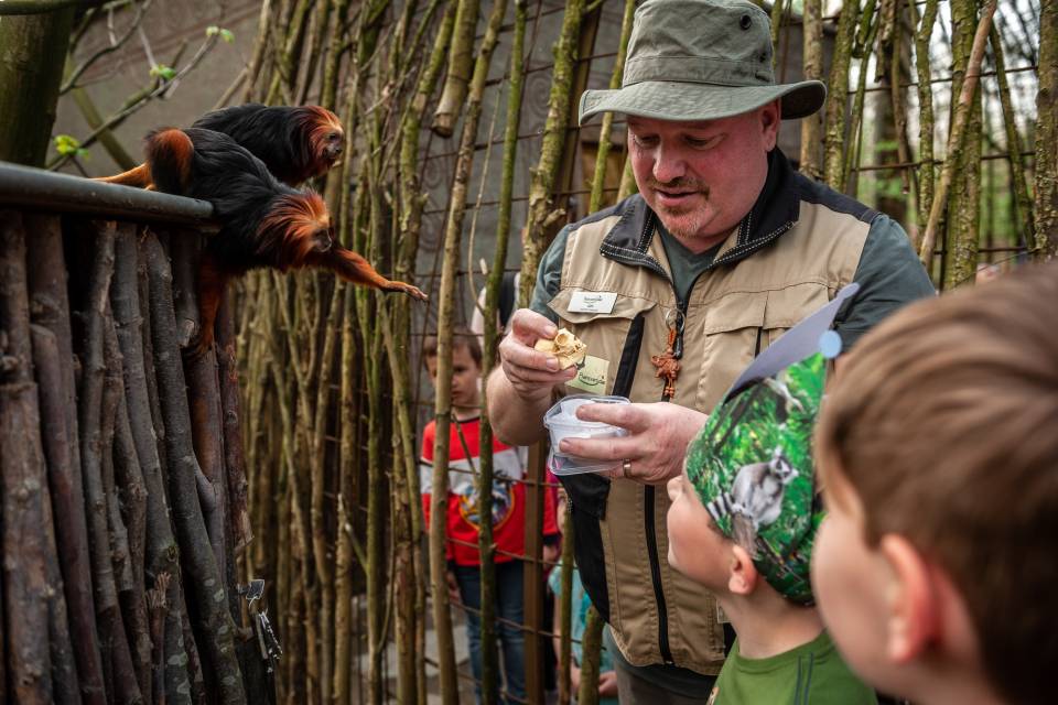 ZOO Planckendael - Jonas Verhulst