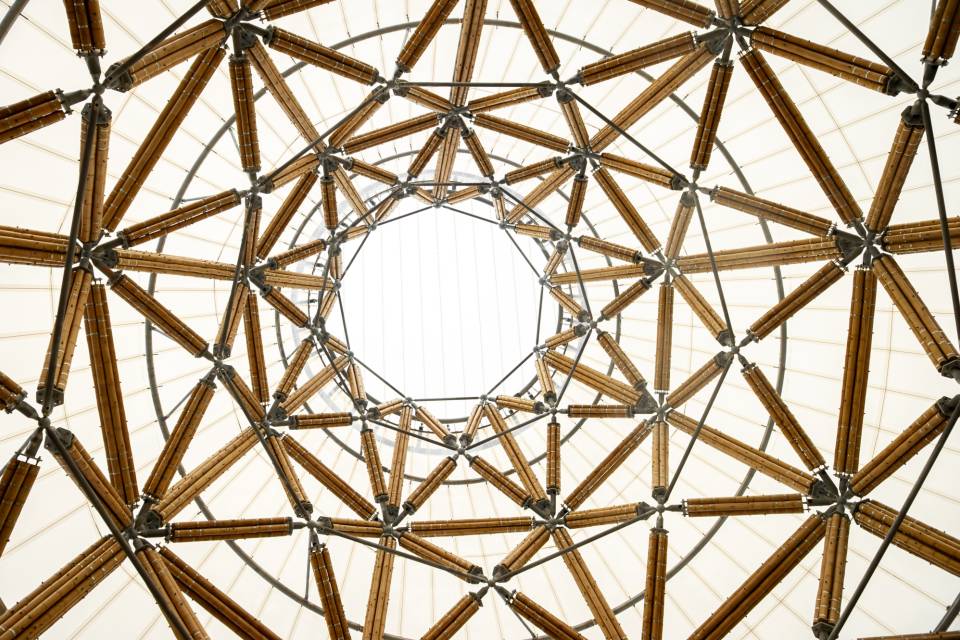 ZOO Planckendael - Jonas Verhulst