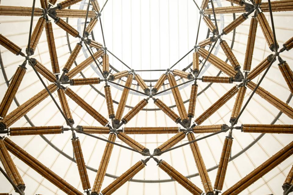 ZOO Planckendael - Jonas Verhulst