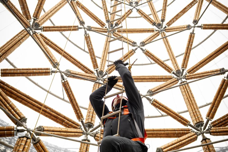 ZOO Planckendael - Jonas Verhulst