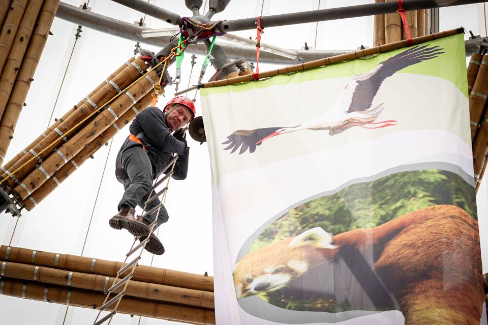 ZOO Planckendael - Jonas Verhulst