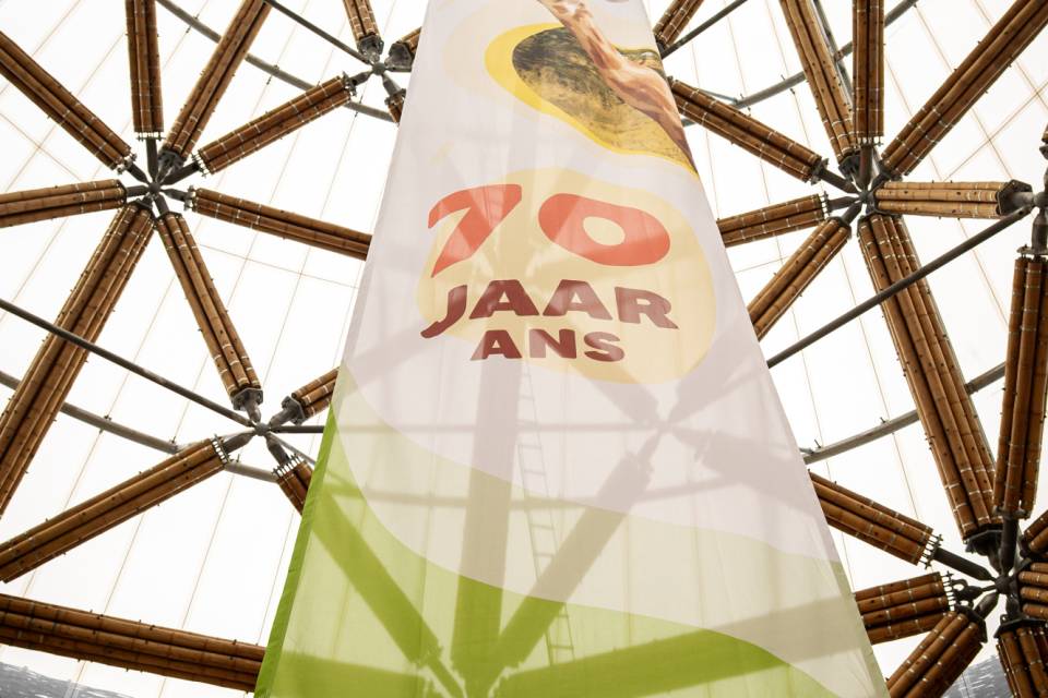 ZOO Planckendael - Jonas Verhulst