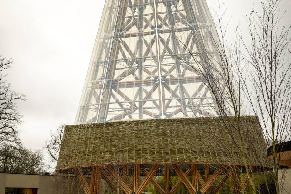 ZOO Planckendael - Jonas Verhulst