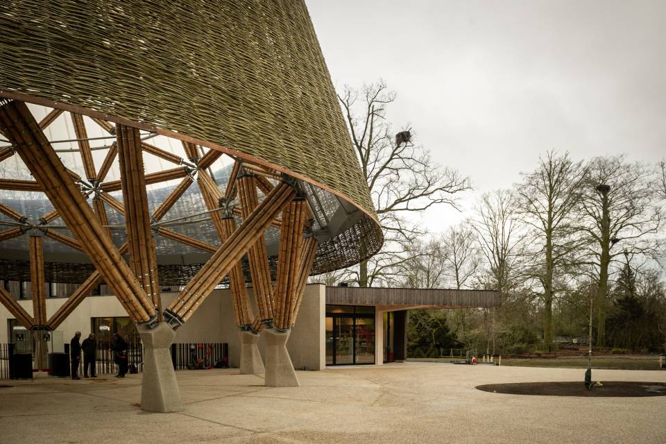 ZOO Planckendael - Jonas Verhulst