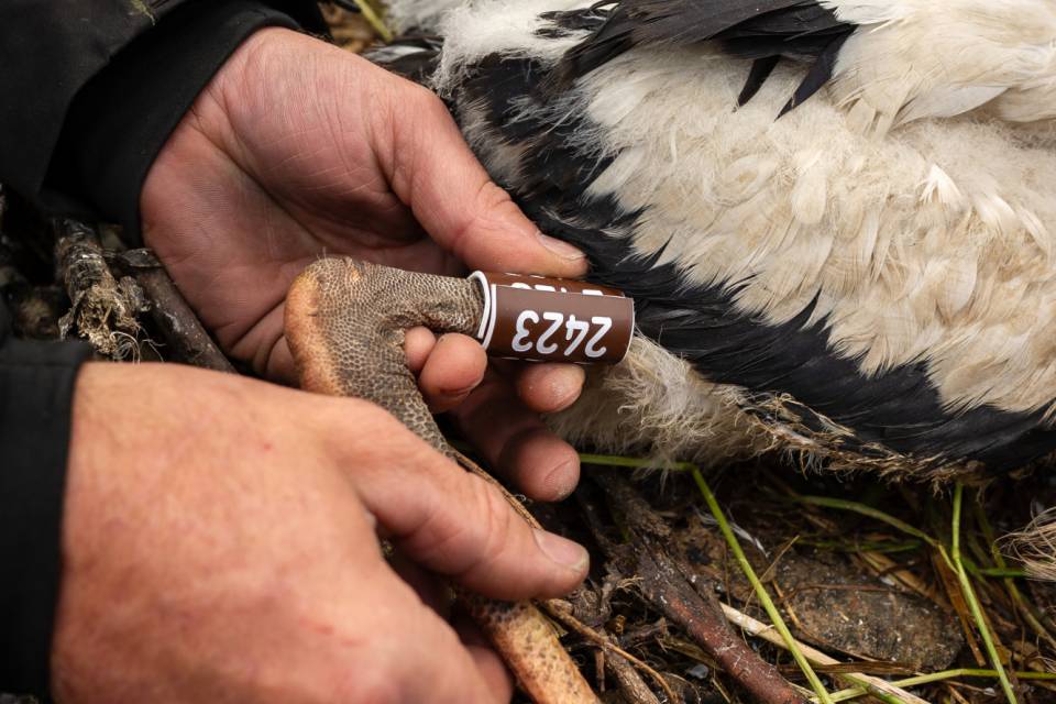 ZOO Planckendael / Jonas Verhulst