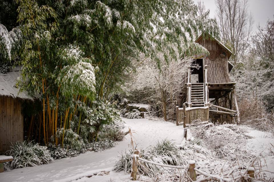 ZOO Planckendael / Jonas Verhulst