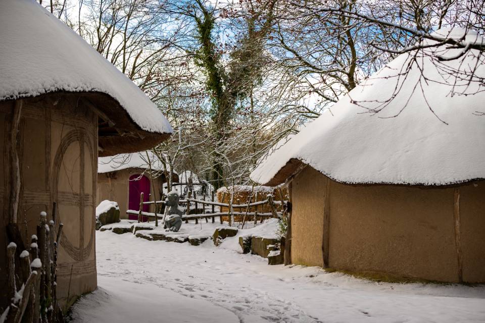 ZOO Planckendael / Jonas Verhulst