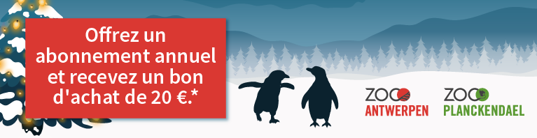 Bons cadeau ZOO Planckendael