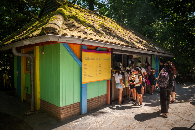 Gibbon - Planckendael ZOO