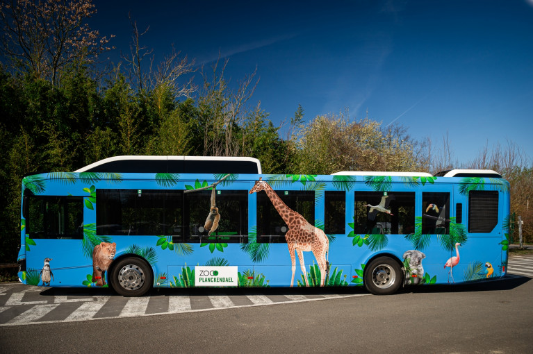 ZOO Planckendael Express