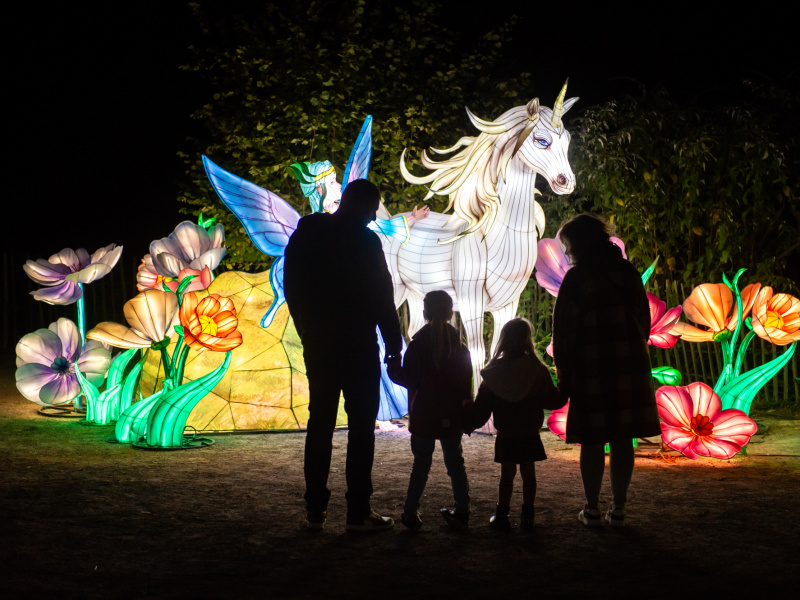 Cet hiver, des dragons de feu et des licornes mystiques vont illuminer le ZOO Planckendael avec la magie du troisième festival des lumières