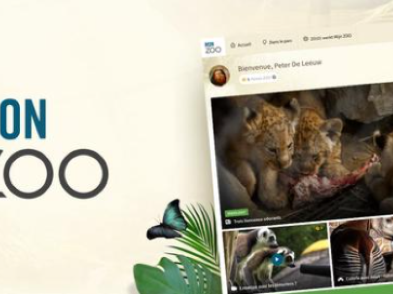 Le ZOO d'Anvers et le ZOO Planckendael créent la surprise en lançant une plateforme digitale, accessible uniquement à leurs abonnés