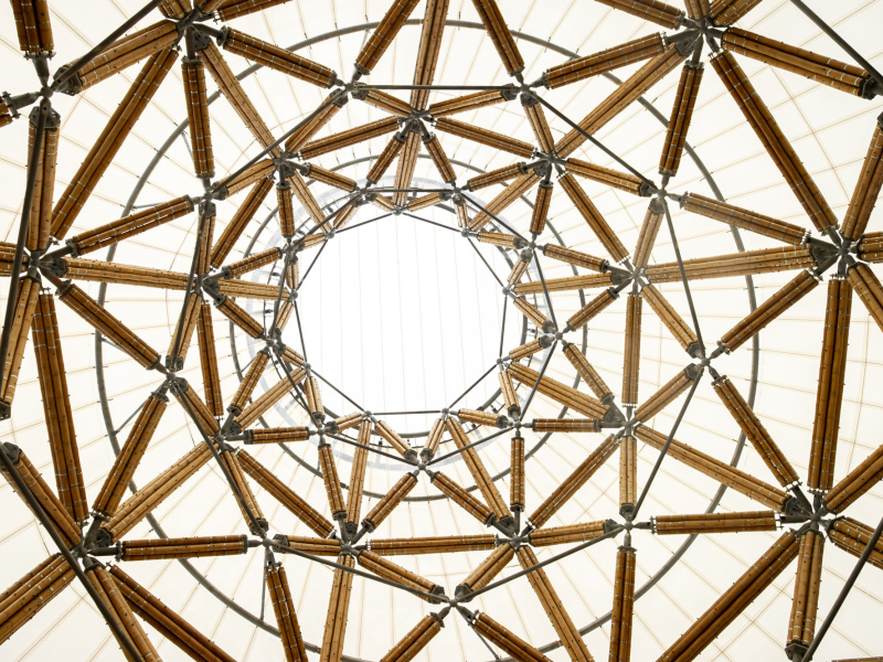  Le ZOO Planckendael inaugure sa nouvelle entrée dotée de la plus haute tour en bambou d’Europe